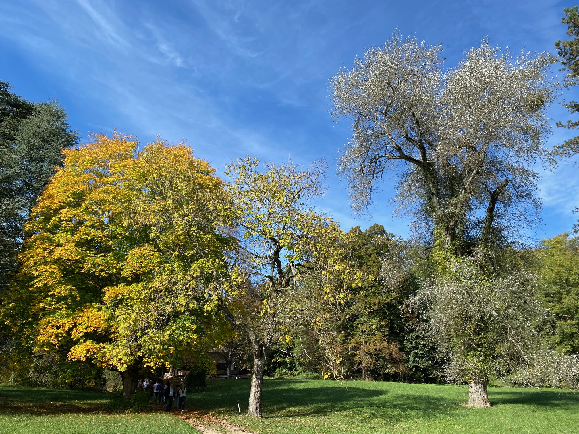 Les Jardins Privés : Piliers de la Ville Éponge et Sanctuaires de Biodiversité Urbaine